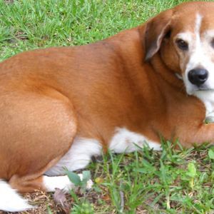 Meet your Posher, Beneecia